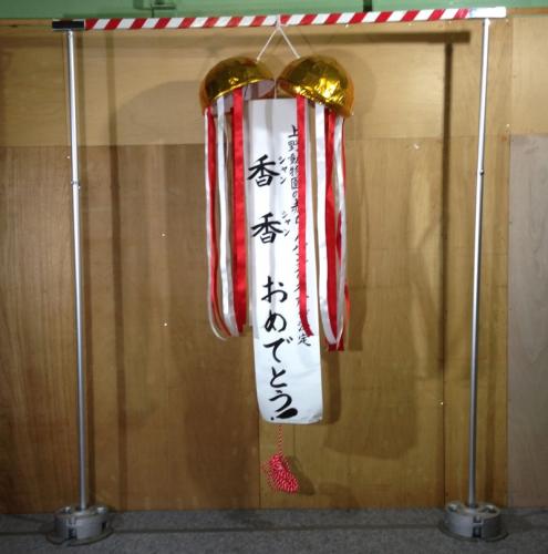 くす玉(36cm・垂れ幕あり)